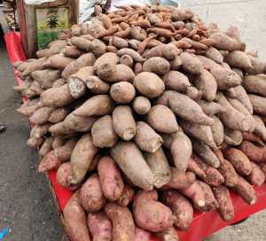 Benefits of sweet Potato in hindi