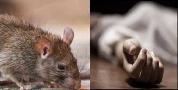 18 year old teacher bimla dies after eating rat poison by mistake in champavat 18 year old teacher bimla dies after eating rat poison by mistake in champavat