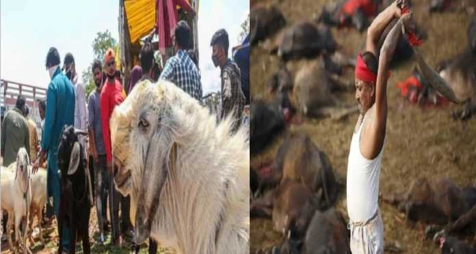 During the sacrifice in the temple, the neck of the catcher was cut off, the accused was arrested.