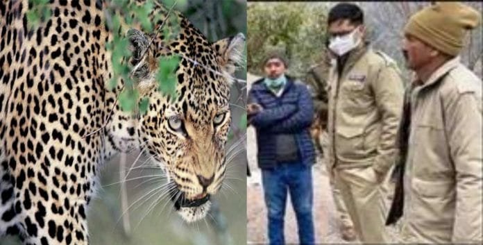 Guldar killed the youth of Tehri Garhwal