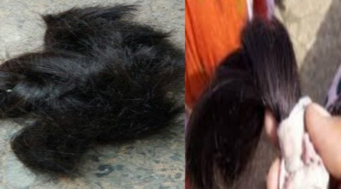 in kotdwar chopped the peaks of 6 girls in 2 days in kotdwar chopped the peaks of 6 girls in 2 days