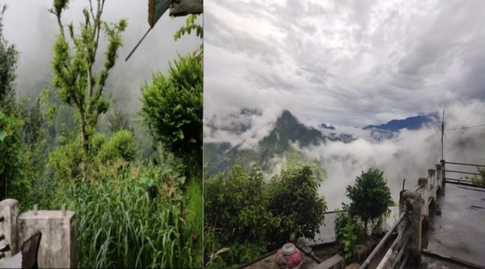 Heavy rain warning for next 3-4 days in these districts of Uttarakhand