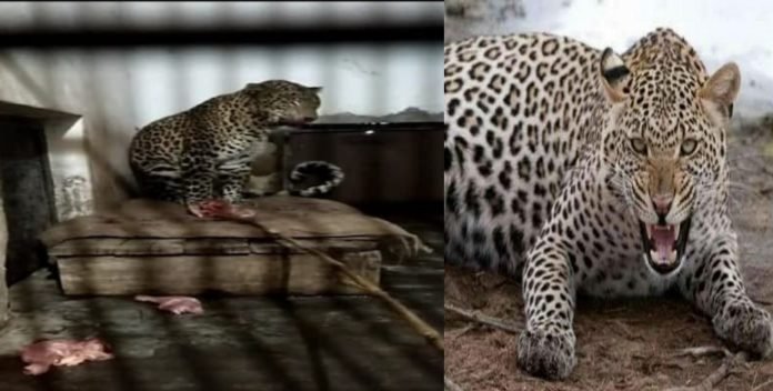 Picsart_22-10-03_12-27-29-111 9 Guldars got life imprisonment for violating the rules of the forest in Uttarakhand, this is the whole matter