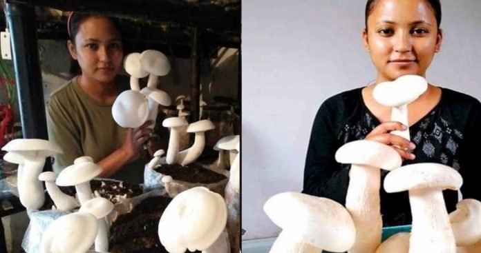 Mashroom Lady Divya Rawat Success story