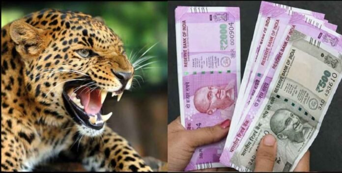 Death in wild animal attack in Uttarakhand will now get Rs 6 lakh