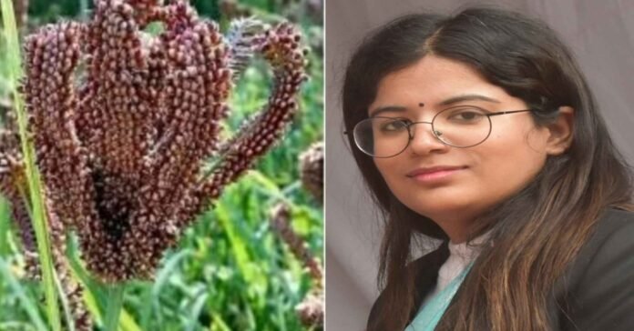 Mandua will now be bought at the rate of Rs 35 per kg in Uttarakhand