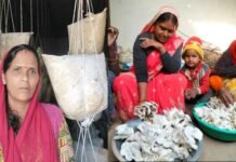 देहरादून की मशरूम गर्ल गीता उपाध्याय, मशरूम उगाकर कमाती है लाखों रुपए Dehradun's mushroom girl Geeta Upadhyay earns lakhs of rupees from mushroom cultivation