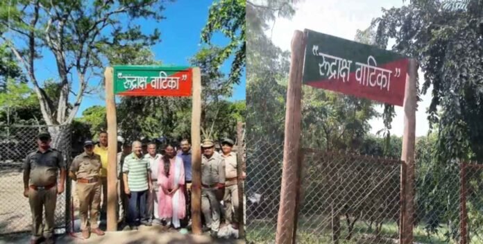 Now do morning walk in Haldwani among Rudraksh trees