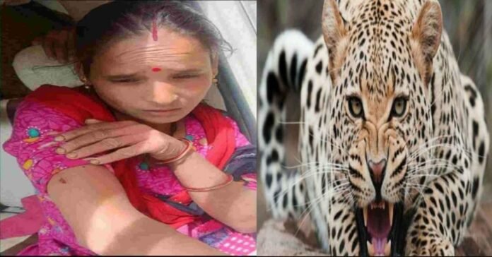 The brave woman of Uttarakhand, Guldar attacked, then the crowd went to save her life..
