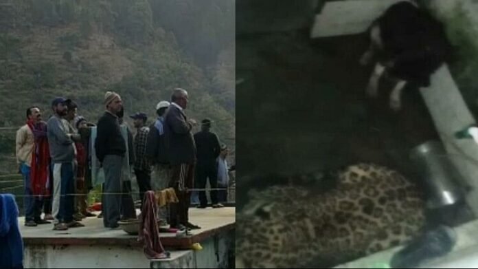 In tehri garhwal leopard and dog locked in bathroom
