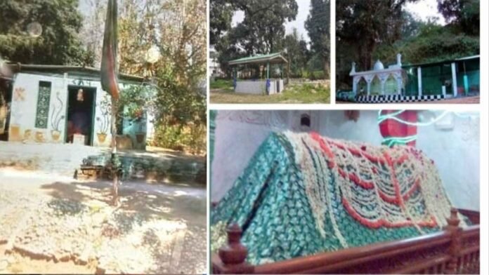 Illegal tombs are built on forest land in Uttarakhand