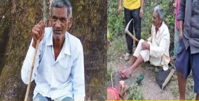 70 years manwar Singh Rawat fight with two leopards in Pauri Garhwal 70 years manwar Singh Rawat fight with two leopards in Pauri Garhwal