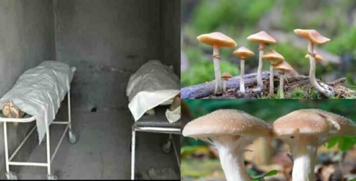 Husband and wife died after eating wild mushroom in Tehri Garhwal