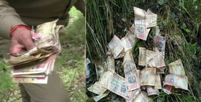 Rs 500 and rs 1000 notes found in forest in nanital