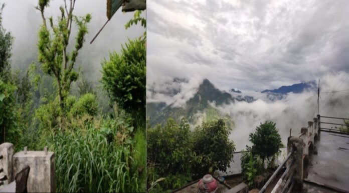 There will be torrential rains in these 7 districts of Uttarakhand for the next 5 days