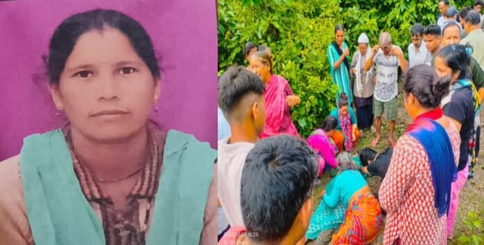 Elephant attacked woman who went to collect grass in Ramnagar