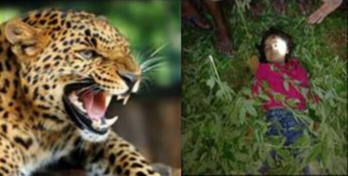 Guldar took away 4 years old Rakhi before Raksha Bandhan