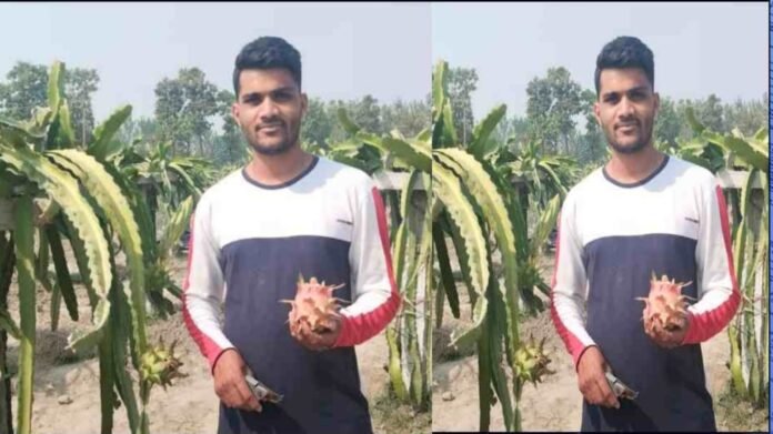 Amazing skill, Anup from Uttarakhand learned dragon fruit cultivation from YouTube, now earning good income