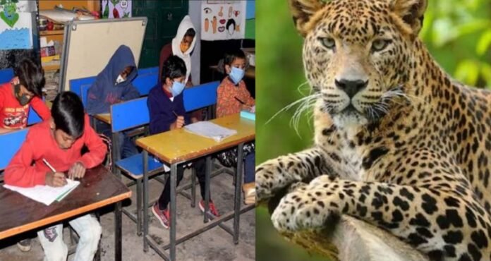 School closed for two days after tiger attack in Dwarikhal, pauri