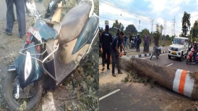 Tree fall on scooty near bagat singh chowk haridwar