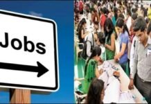 उत्तराखंड: पटवारी-लेखपाल समेत समूह-ग के 416 पदों पर निकली भर्ती, 15 मई तक कर सकते हैं आवेदन Recruitment for 416 posts of Group-C including Patwari-Lekhpal in Uttarakhand, can apply till 15 May