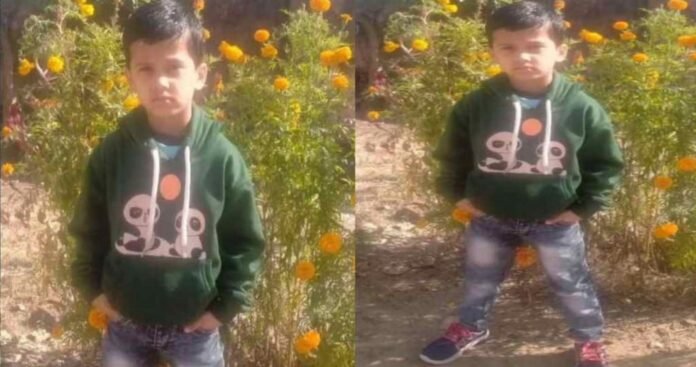 7 year old Krishna died due to cat bite in Haldwani