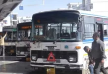 होली पर नहीं होगी रोडवेज बसों की किल्लत, ड्यूटी देने वालों को मिलेगी प्रोत्साहन राशि There will be no shortage of roadways buses on Holi, those on duty will get incentives.