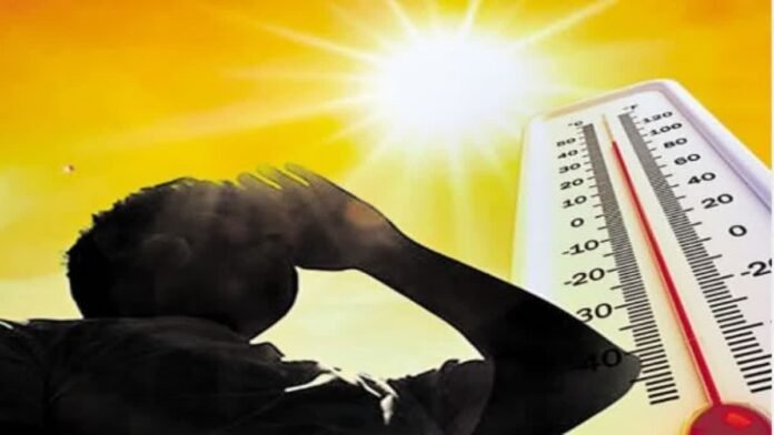 Heat wave alert issued in 6 districts including Dehradun and Haridwar; temperatures to rise for next 2 days, forest fires posing a threat