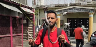 देहरादून में मिला भारत के सबसे खतरनाक चार सांपों में से एक सांप, कहते हैं साइलेंट किलर The name of one of the most dangerous snakes in India is Silent Killer.